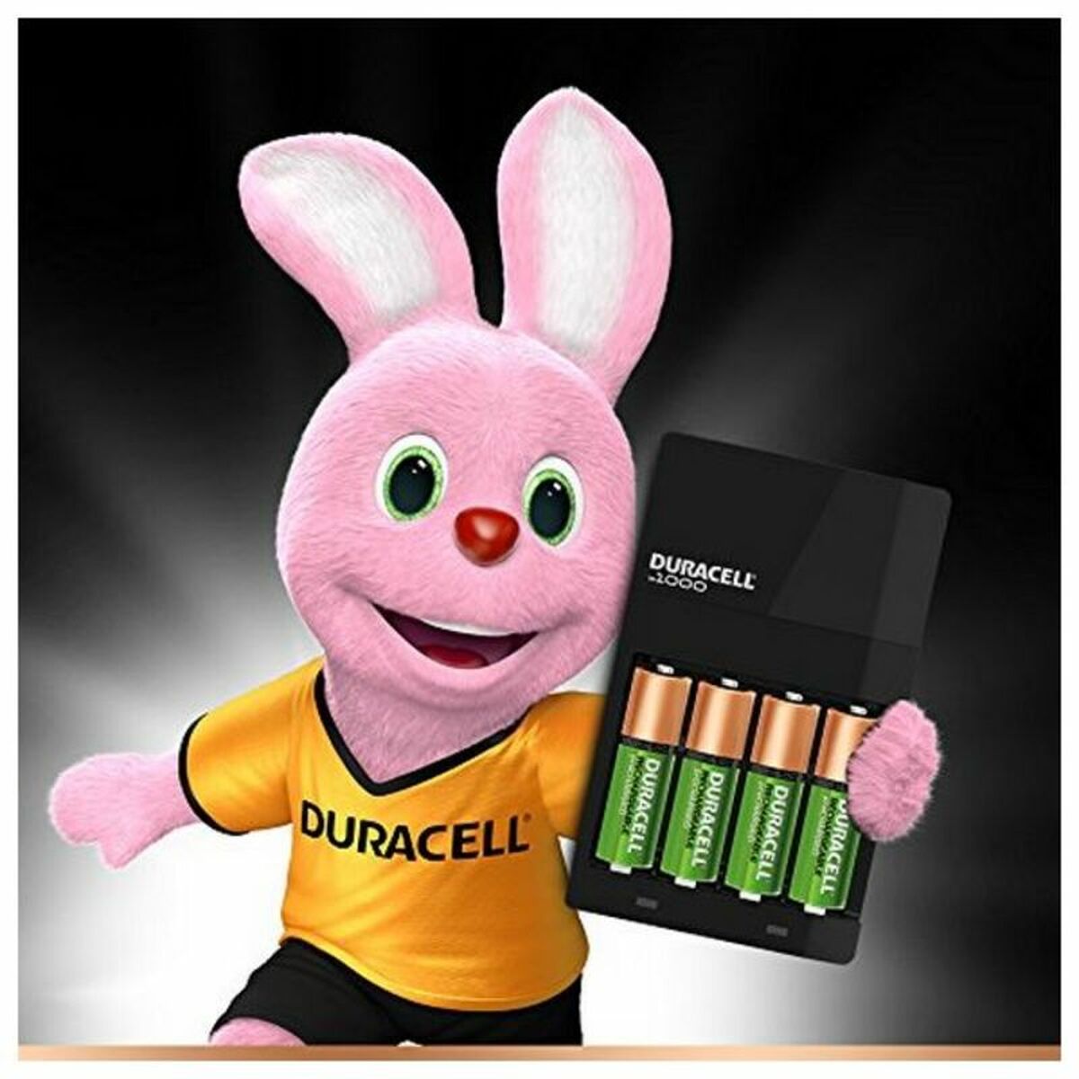 Charger + Rechargeable Batteries DURACELL CEF14 2 x AA + 2 x AAA HR06/HR03 1300 mAh (1 Unit)-4