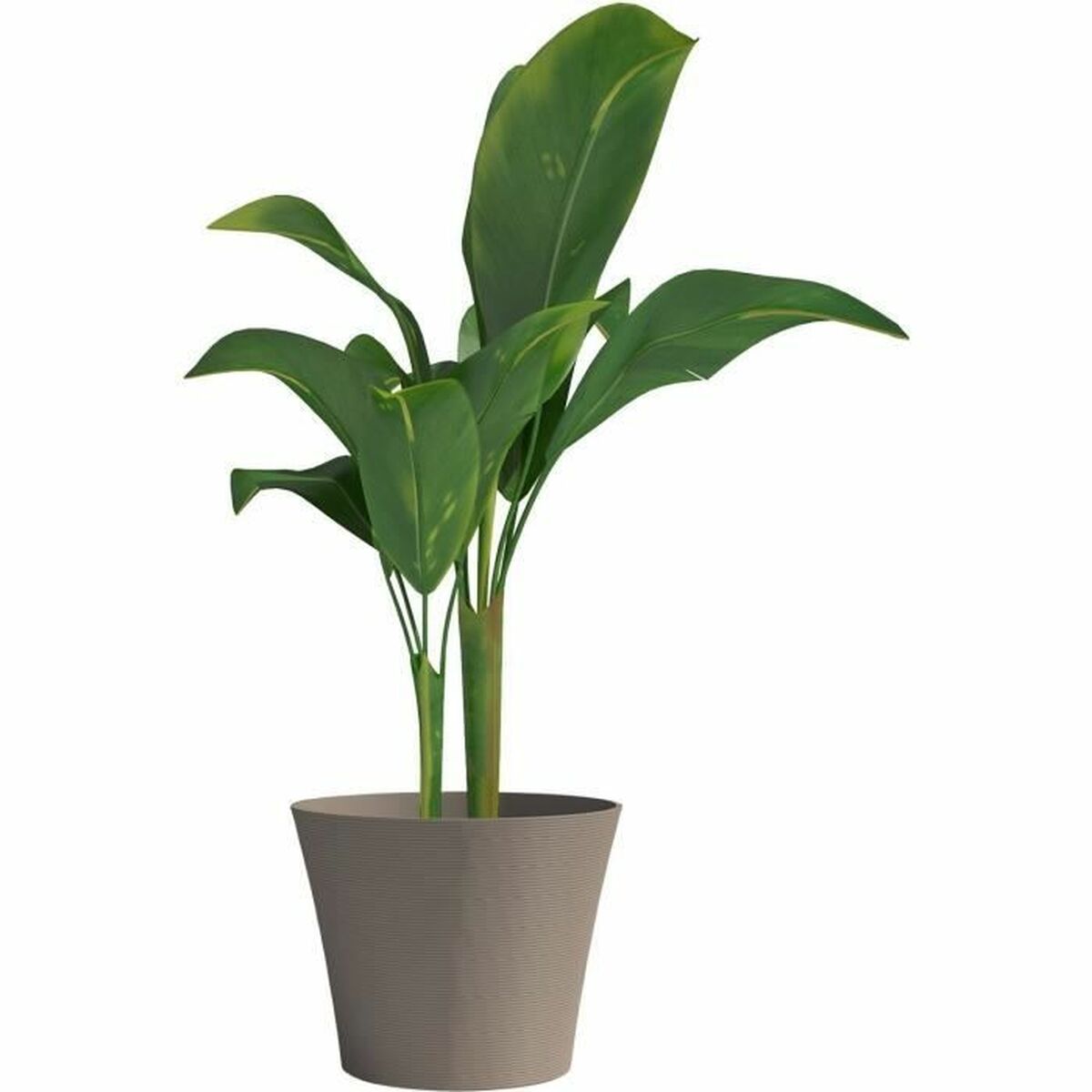 Planter Garden ID-1