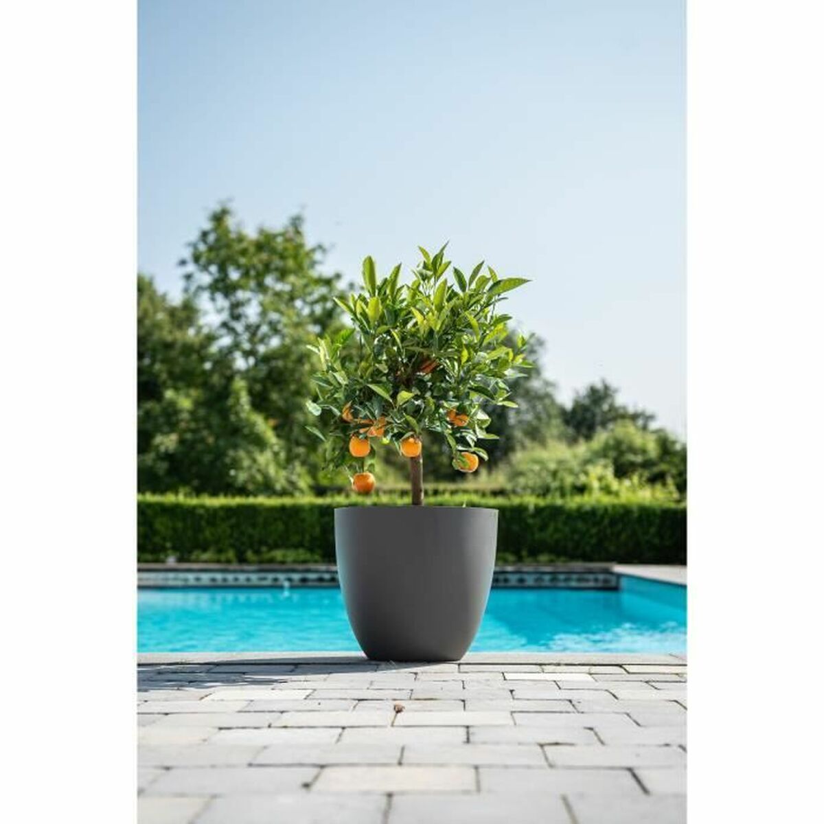 Plant pot Garden ID Anthracite 38 x 34 cm-1