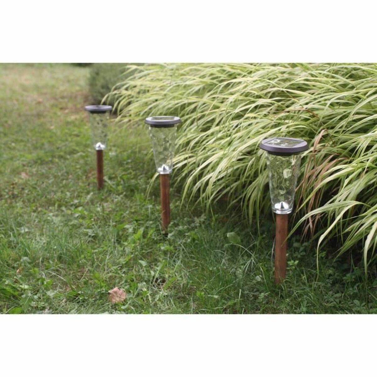 Solar lamp Canopo Natural 20 Lm (3 Units)-3