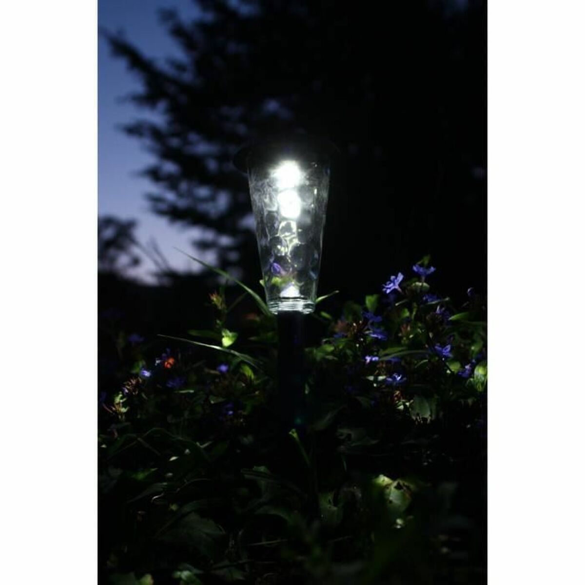 Solar lamp Canopo Natural 20 Lm (3 Units)-1