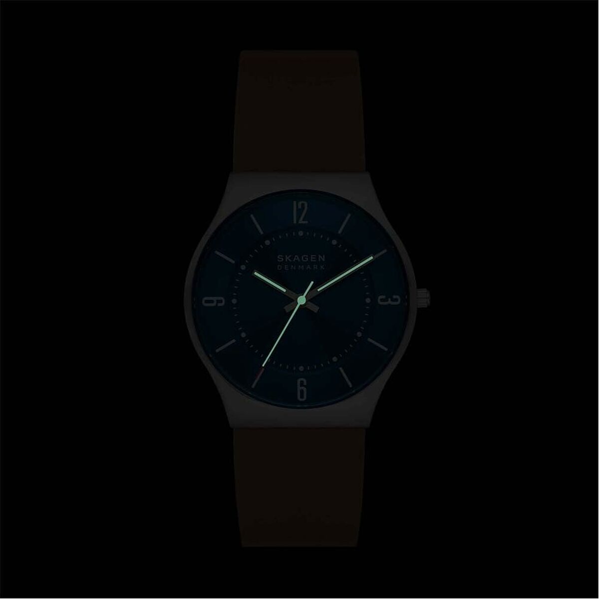 Men's Watch Skagen SKW6852-3