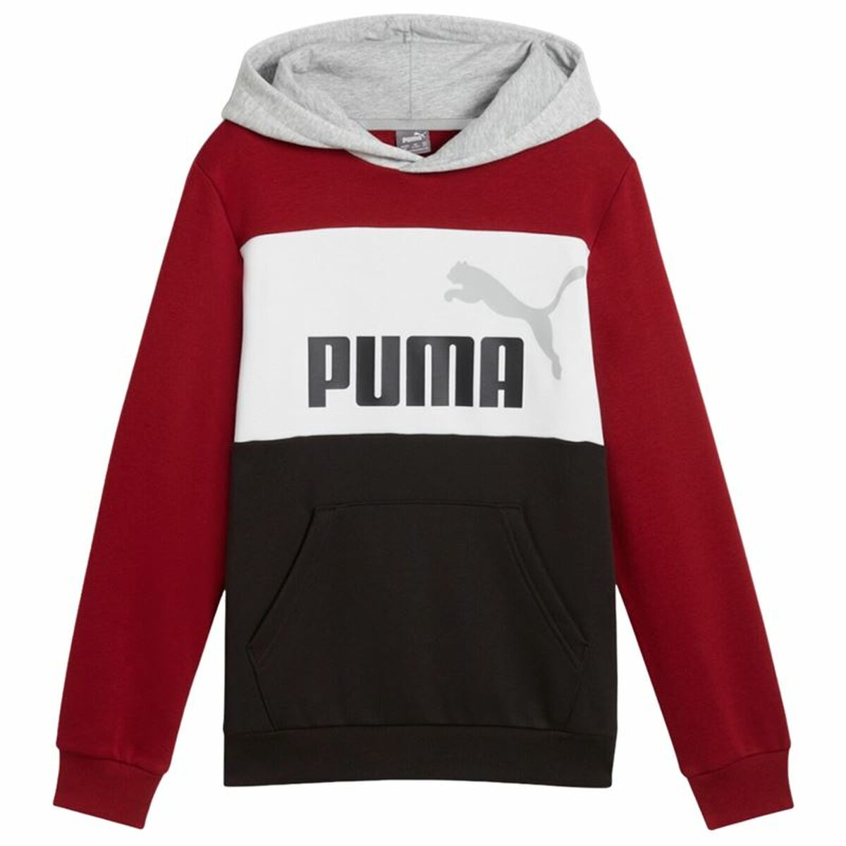Children’s Hoodie Puma Essentials Block-0