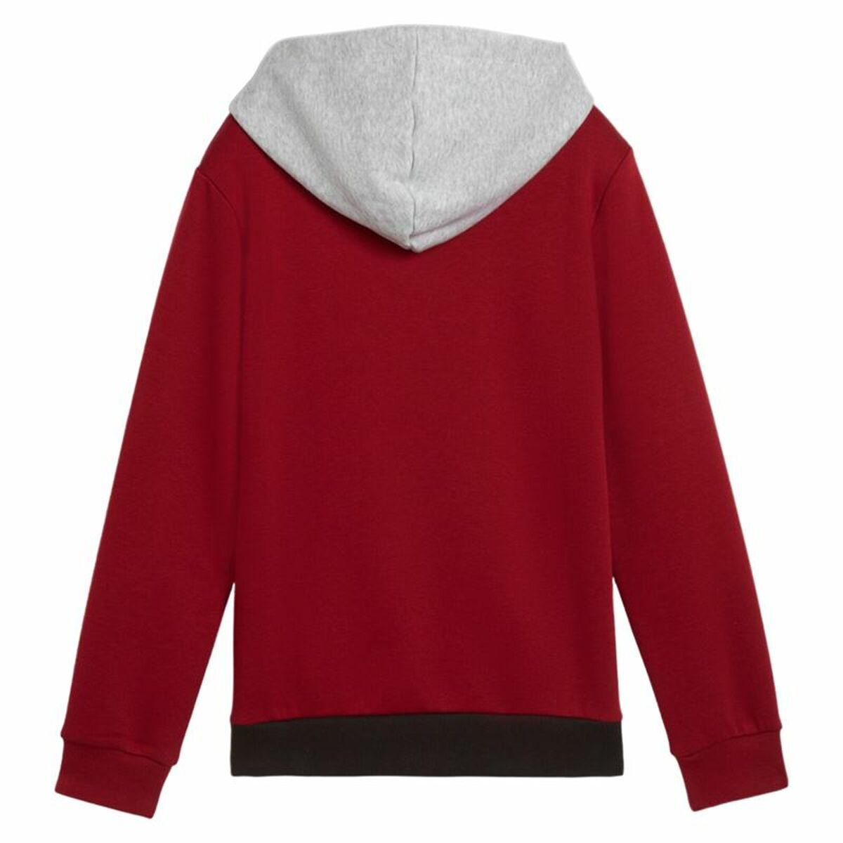 Children’s Hoodie Puma Essentials Block-1