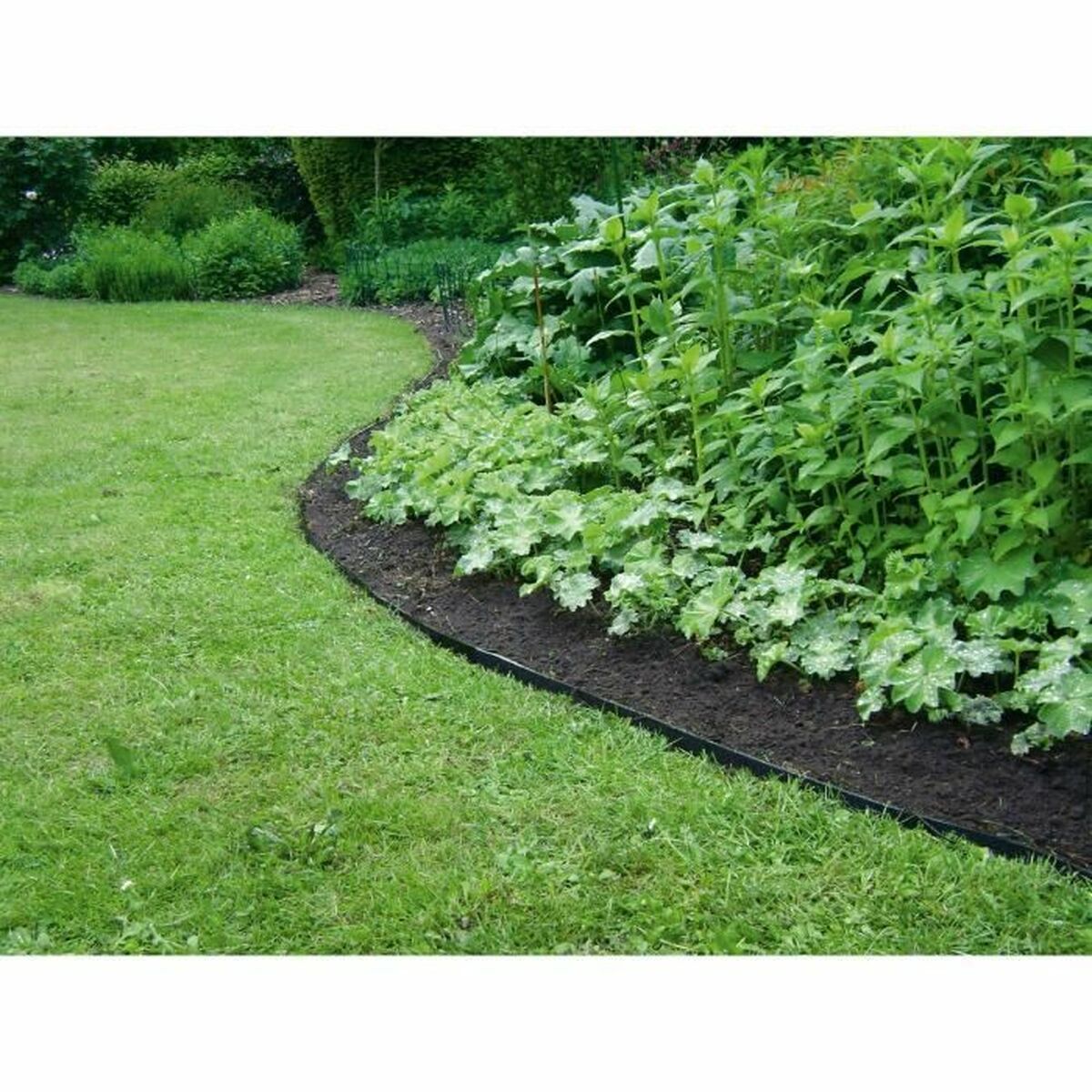 Separator Garden ID-2