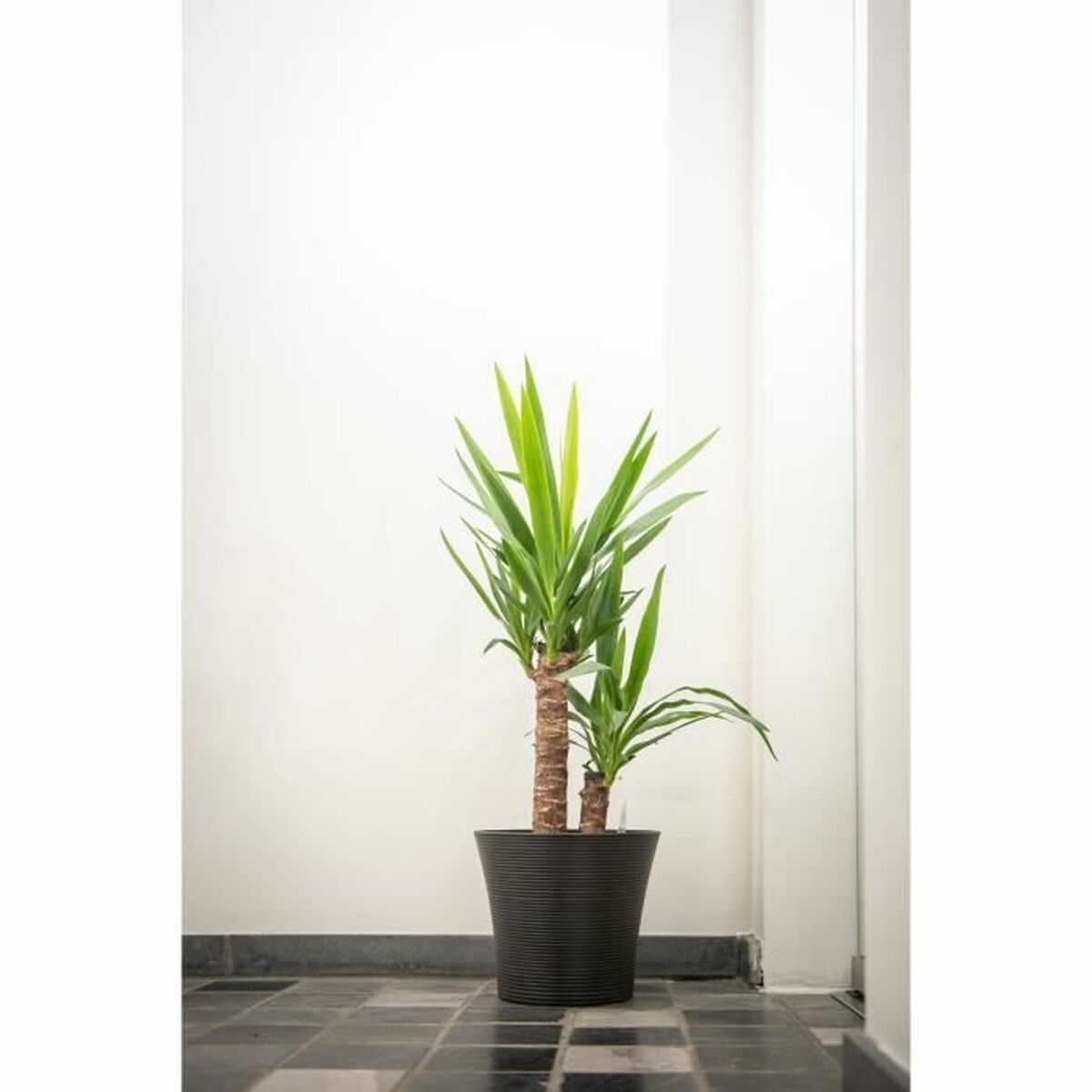 Plant pot Garden ID Black 40 x 34 cm-2
