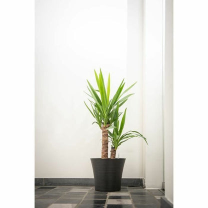Plant pot Garden ID Black 40 x 34 cm-2