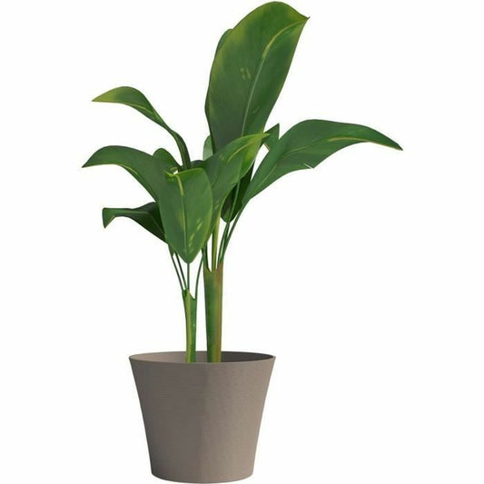Planter Garden ID-1