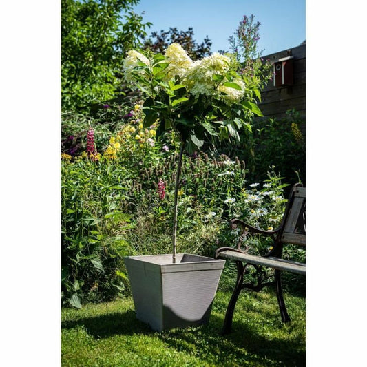 Plant pot Garden ID Taupe Squared 29 x 26 cm-1