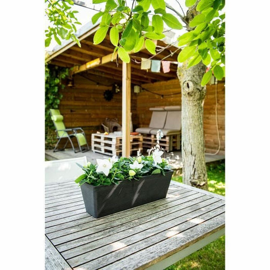 Planter Garden ID Black 50 x 16 x 16 cm-1