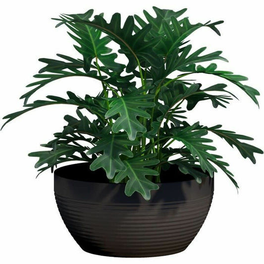 Plant pot Garden ID Black 35 x 16 cm-1