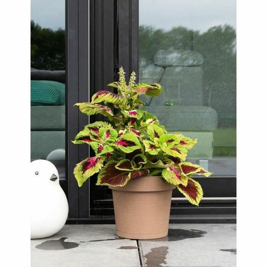 Self-watering flowerpot Garden ID Taupe-1