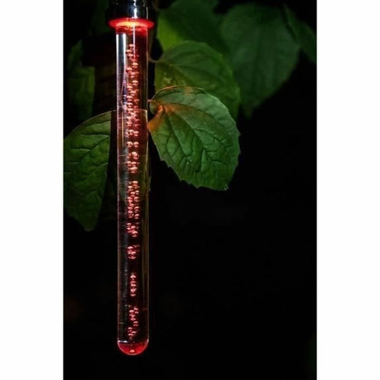 Solar lamp Garden ID Crystal-1