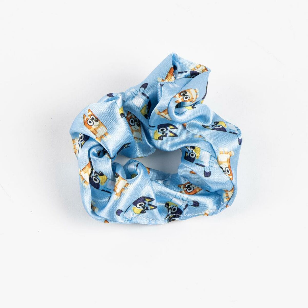 Hair accessories Bluey Blue 5 Pieces-5