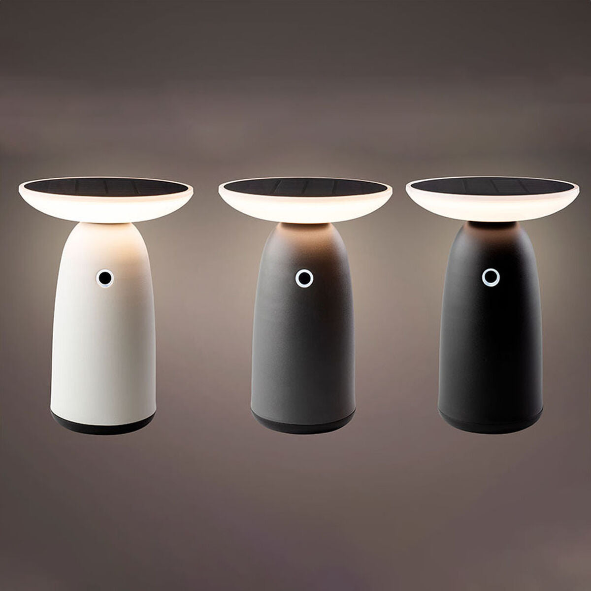 Solar lamp Lumineo 897850 22 cm Touch control-1