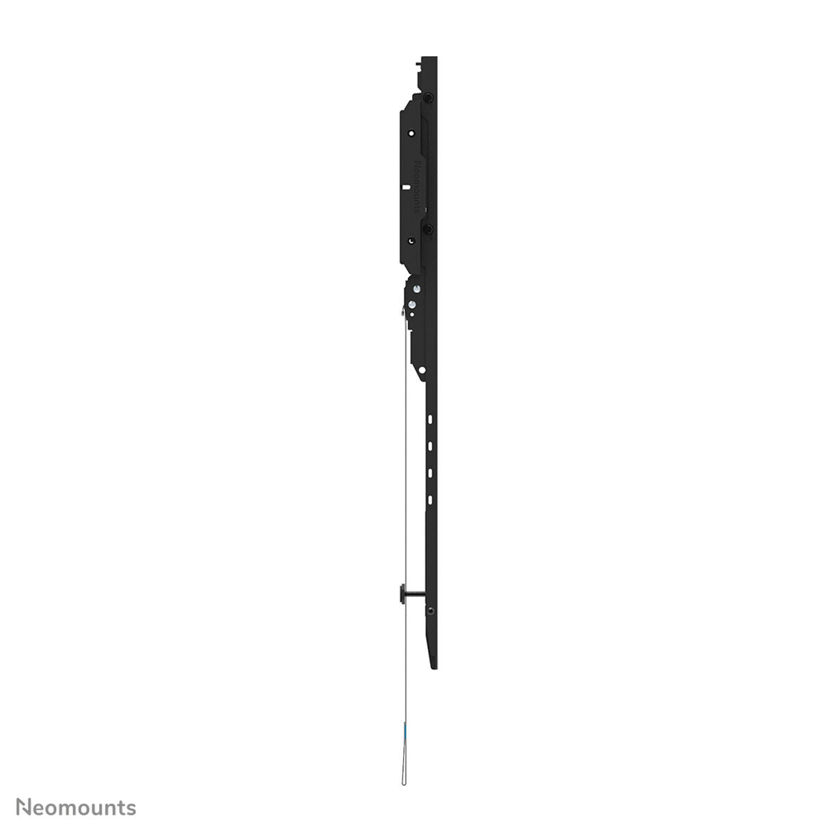 TV Mount Neomounts WL30-750BL18 43"-6