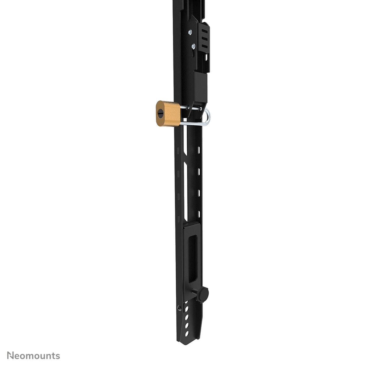 TV Mount Neomounts WL30-750BL18 43"-13