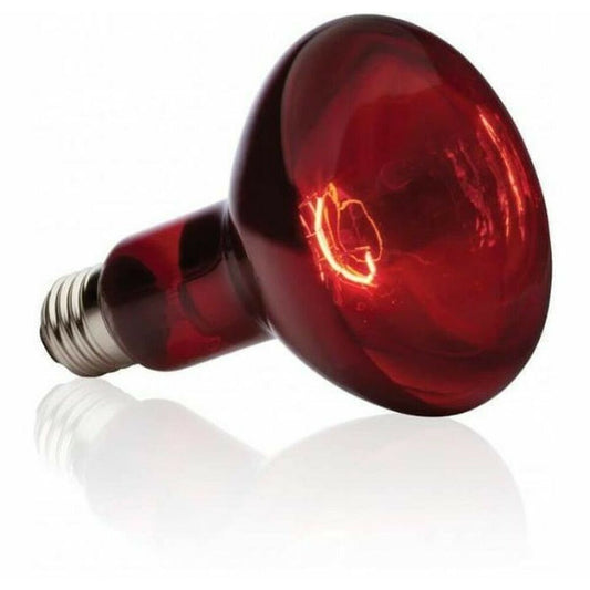Lamp Exo Terra Basking Spot Infrared 75 W-0