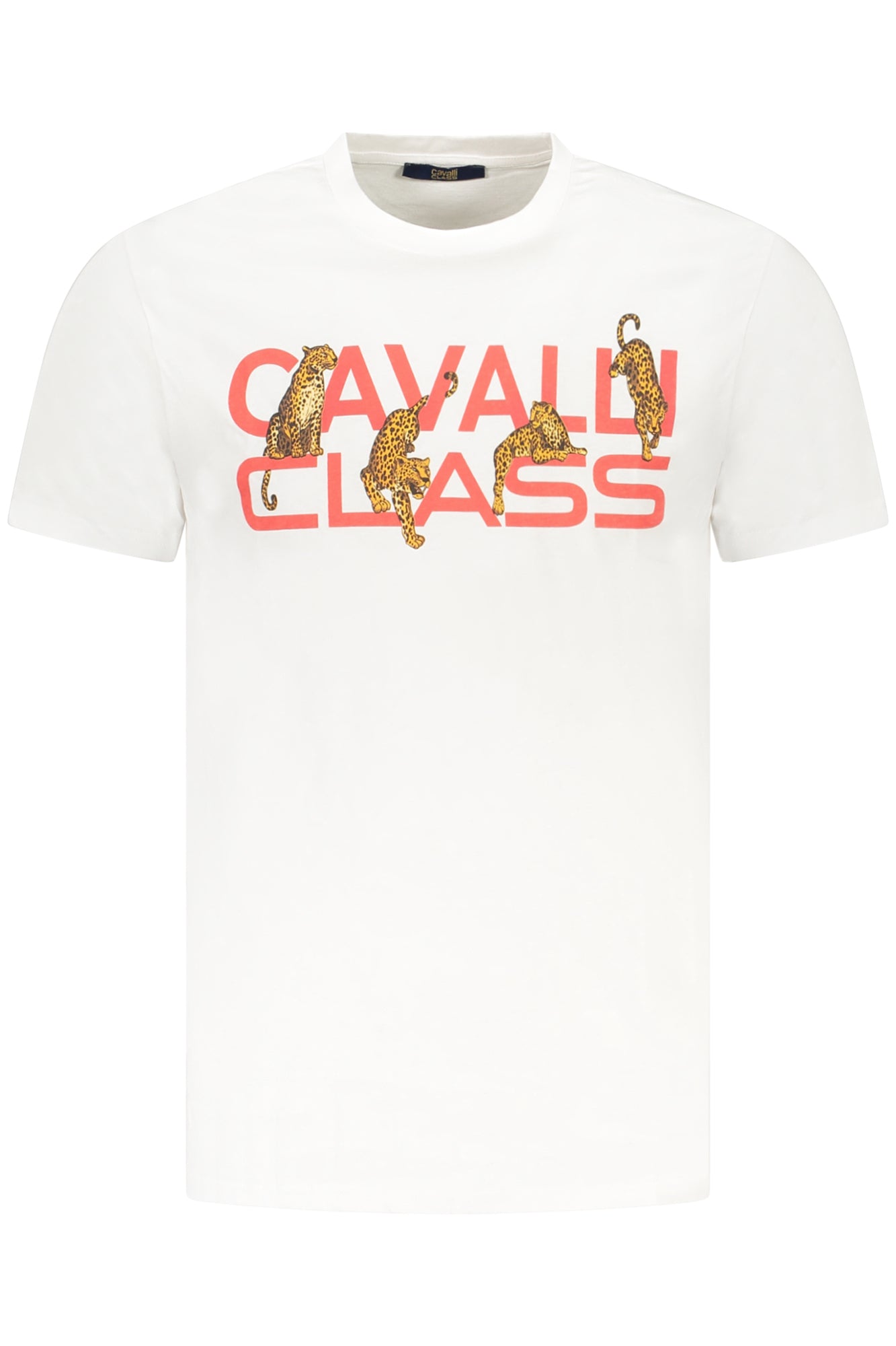 CAVALLI CLASS SHORT SLEEVE T-SHIRT MEN WHITE-0
